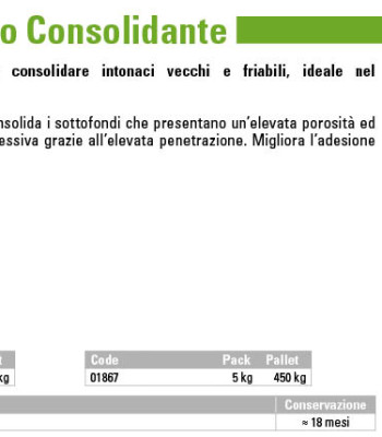 rasobuild20eco20consolidante20ITA202016_001